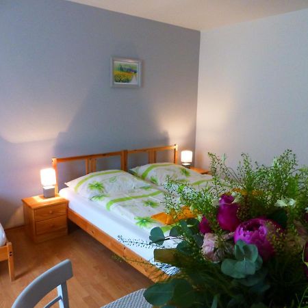 Ubytovanie Na Frantsachte Banska Stiavnica Ngoại thất bức ảnh